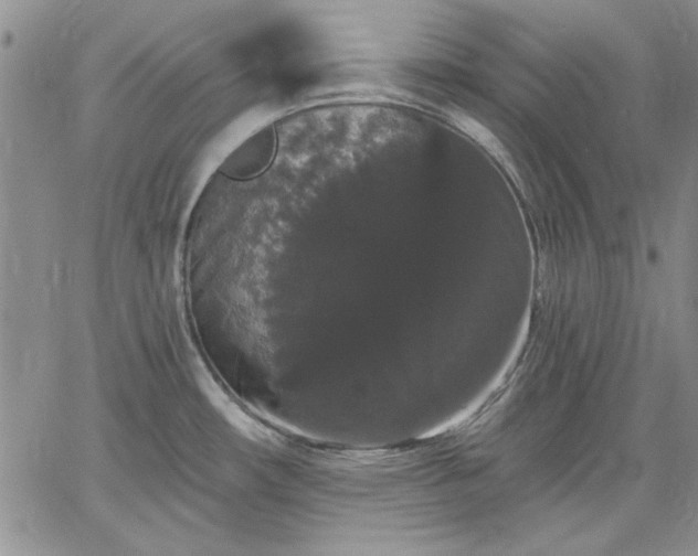 X0000064721482200602171603