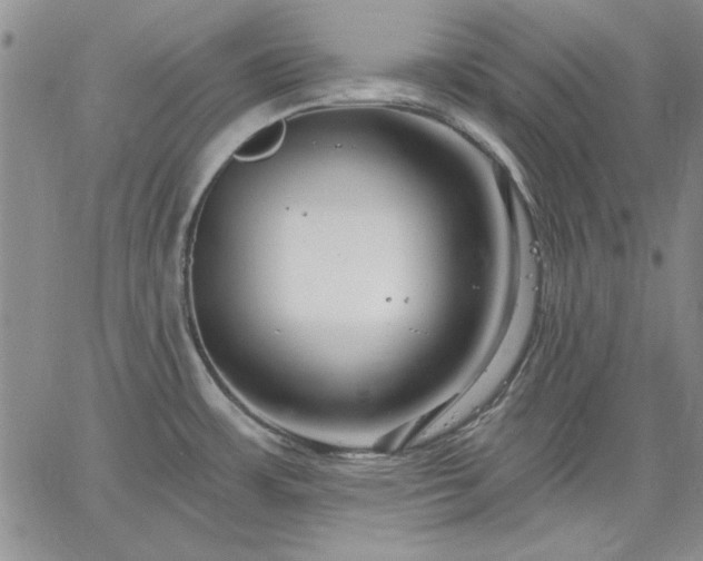 X0000064721483200602171603