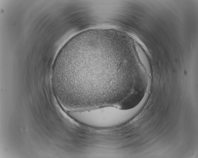 X0000064721484200602171603