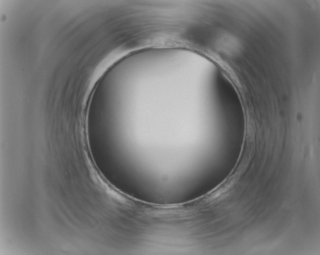 X0000064721486200602171603