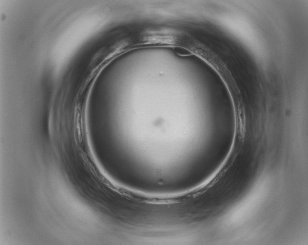 X0000064721487200602171603