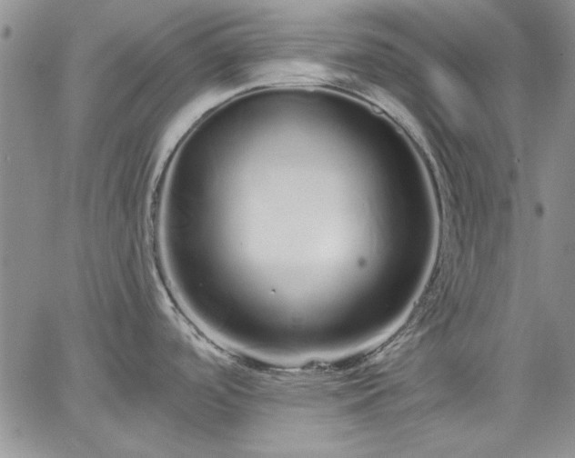 X0000064721488200602171603