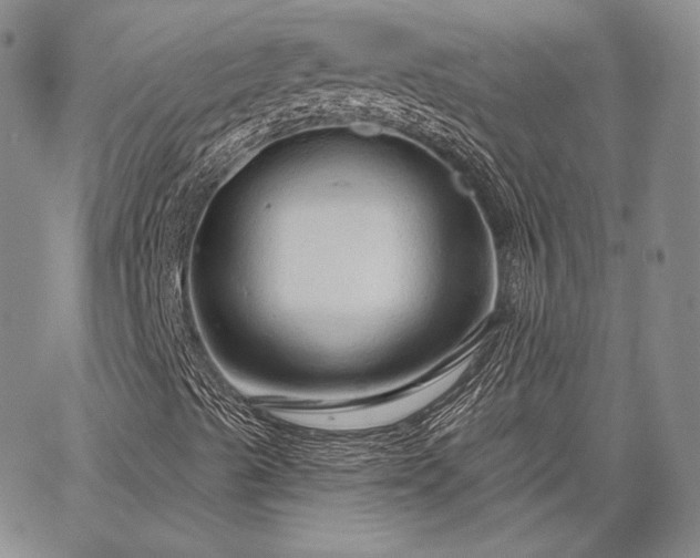 X0000064721489200602171602