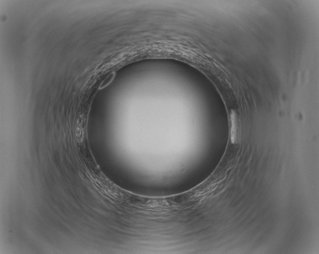 X0000064721491200602171602