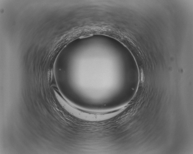 X0000064721492200602171602