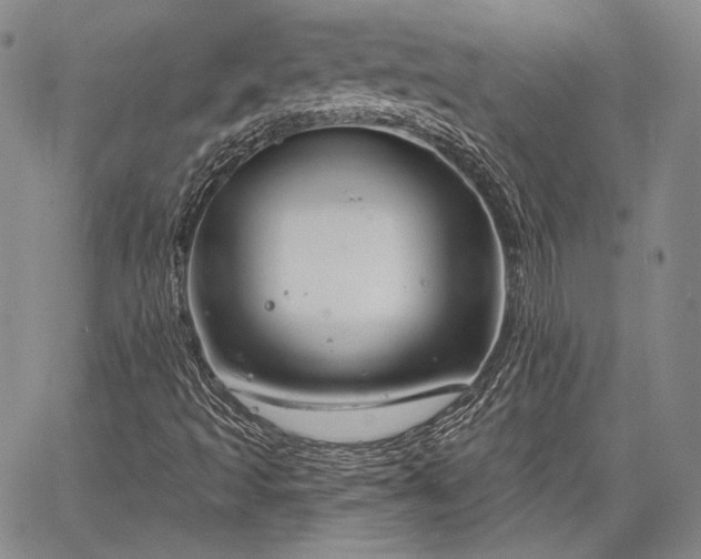 X0000064721493200602171602