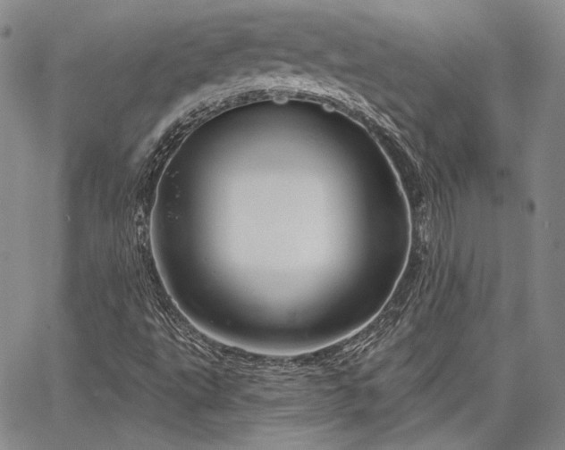 X0000064721495200602171602