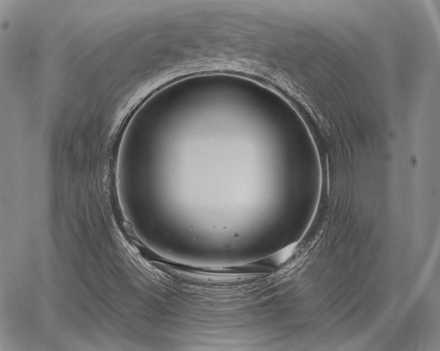 X0000064721500200602171602