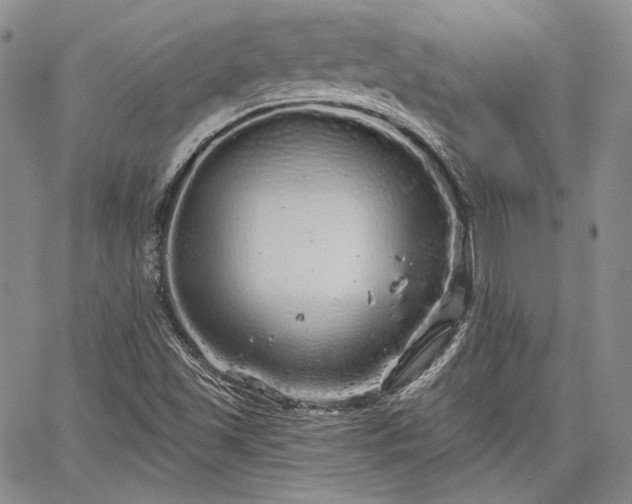 X0000064721501200602171602