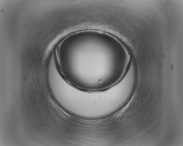 X0000064721502200602171602