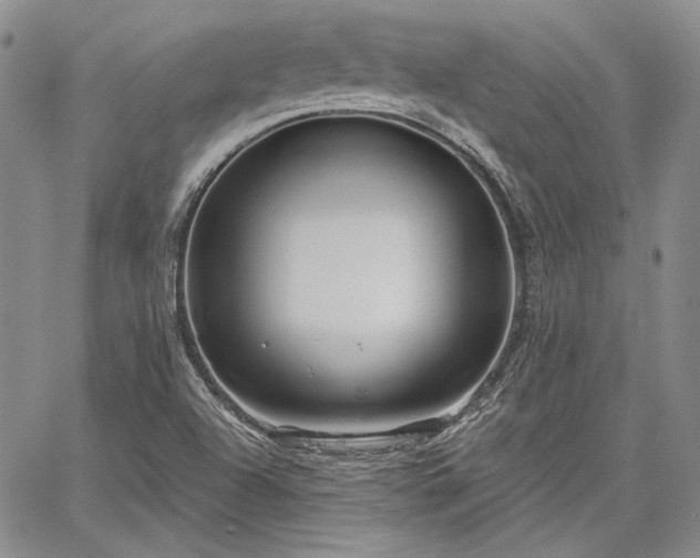 X0000064721504200602171603