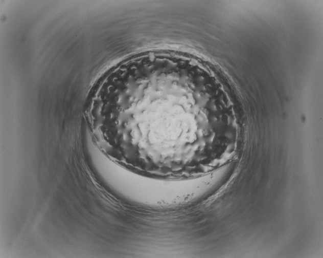 X0000064721505200602171603