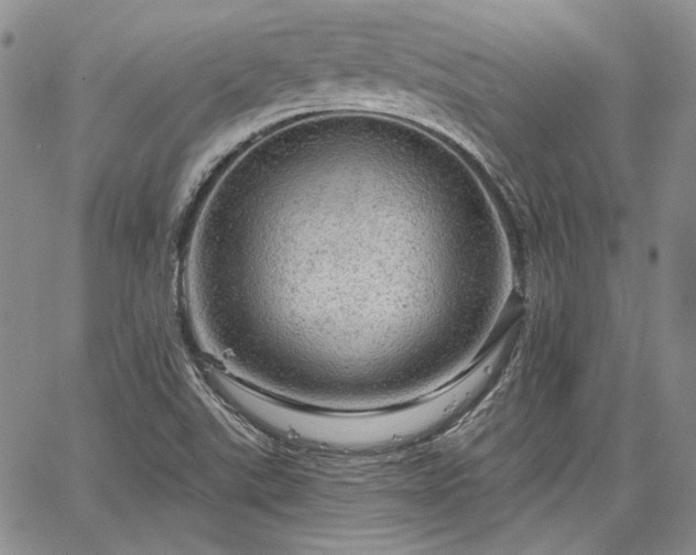 X0000064721507200602171603