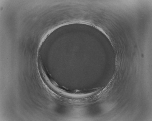 X0000064721508200602171603