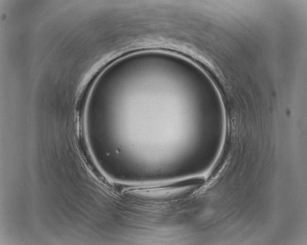 X0000064721509200602171603