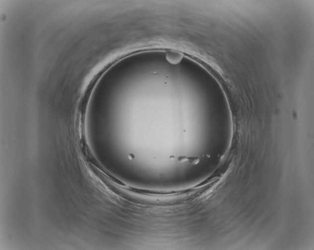 X0000064721510200602171603