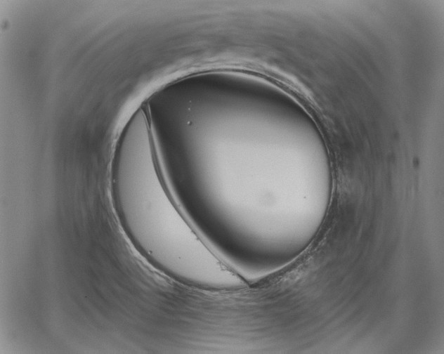 X0000064721512200602171603