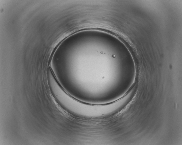 X0000064721513200602171603