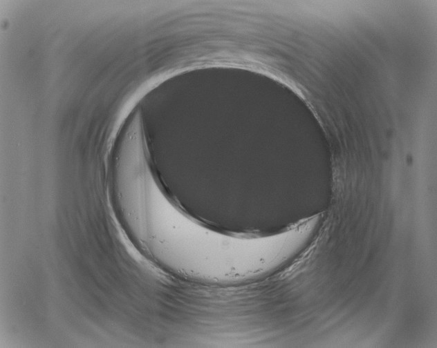 X0000064721515200602171603