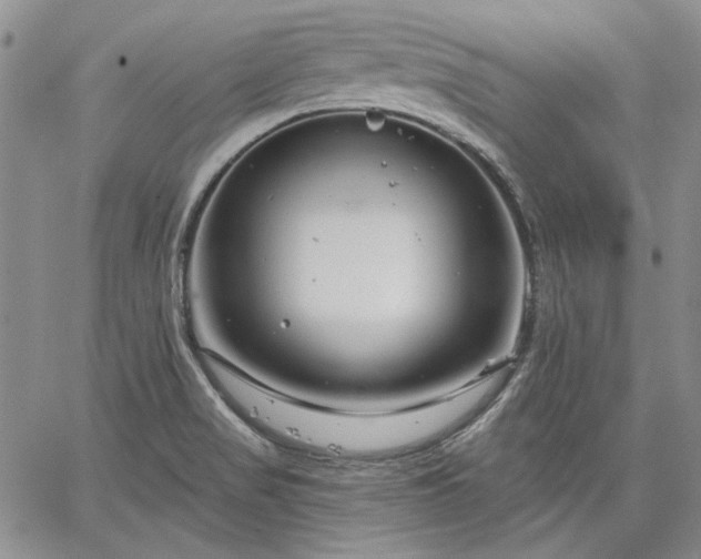 X0000064721517200602171603