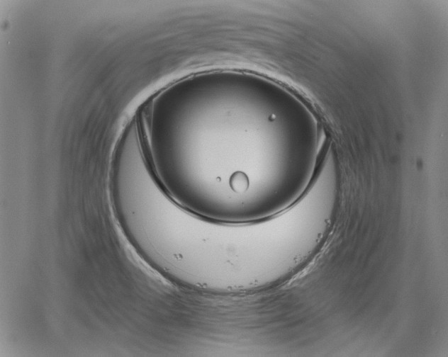 X0000064721518200602171603