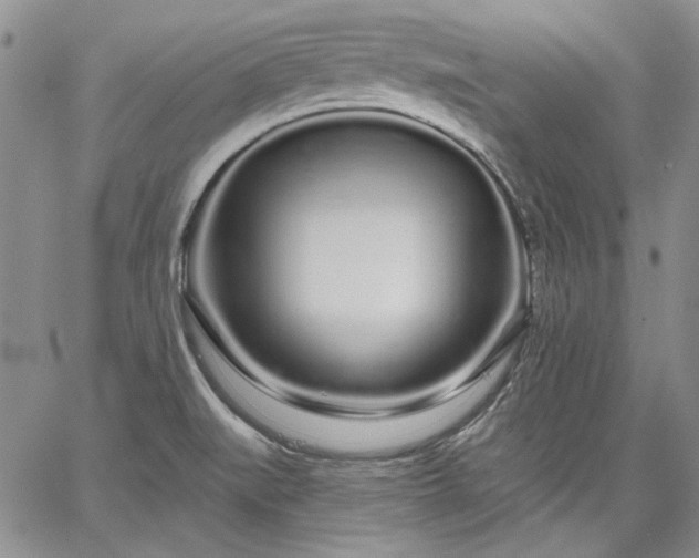 X0000064721519200602171603