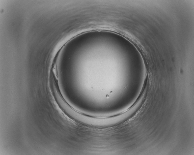 X0000064721520200602171603