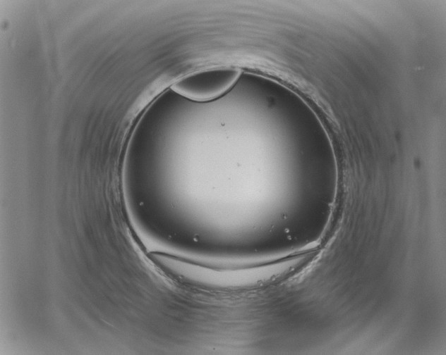 X0000064721521200602171603