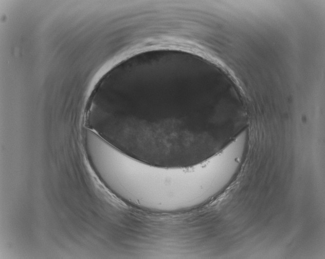 X0000064721522200602171603