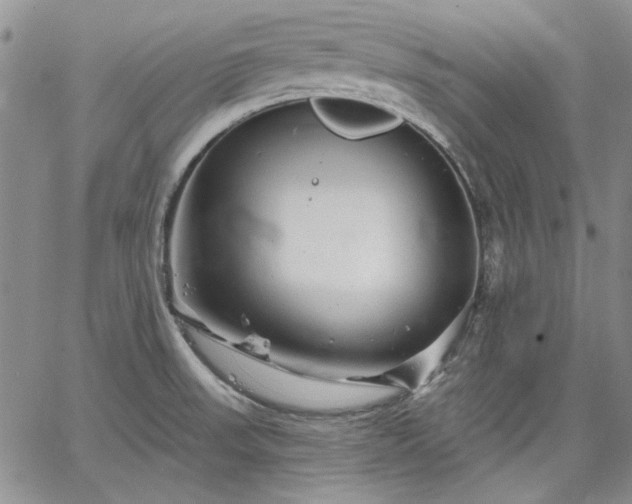 X0000064721523200602171603