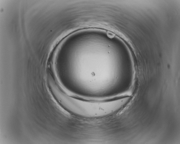 X0000064721525200602171603