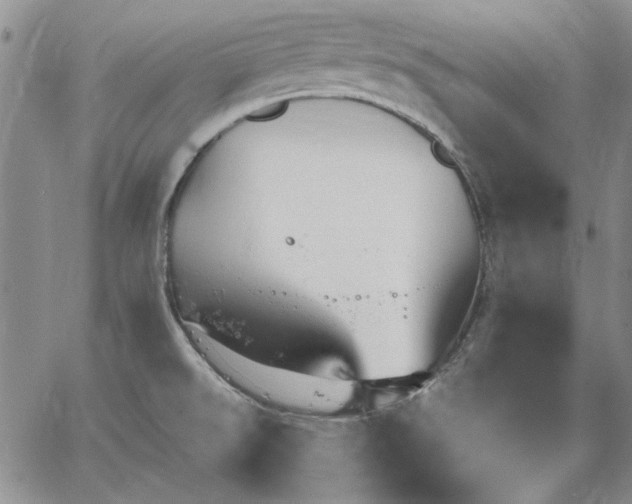 X0000064721526200602171603