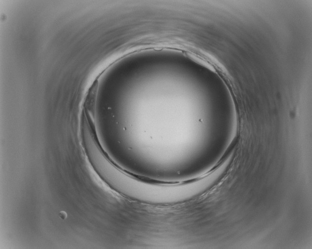 X0000064721528200602171603