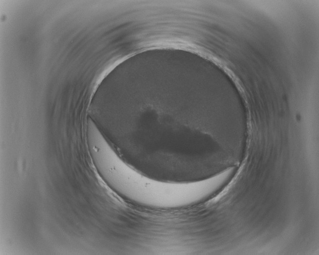 X0000064721529200602171603