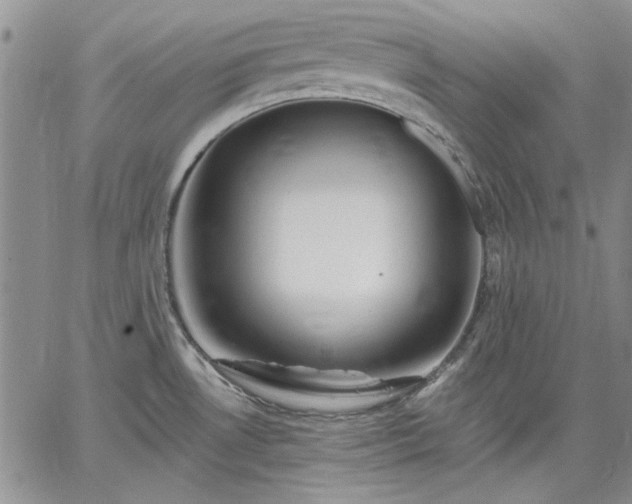 X0000064721530200602171603