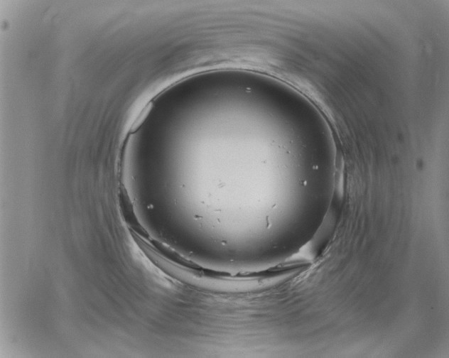 X0000064721532200602171603