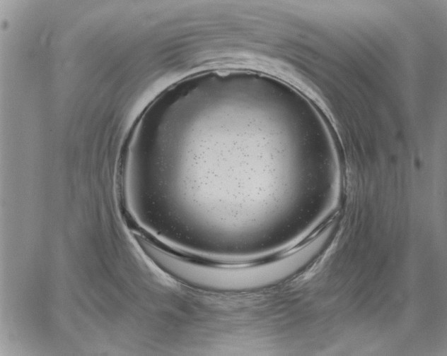 X0000064721533200602171603