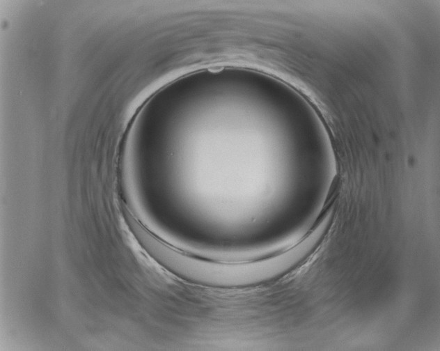 X0000064721534200602171603