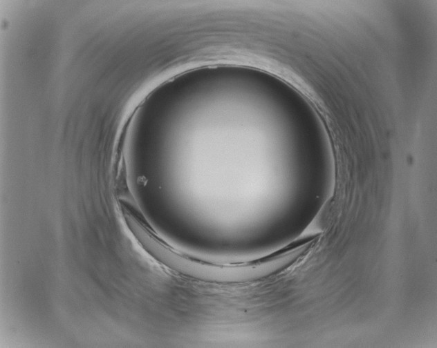 X0000064721536200602171603