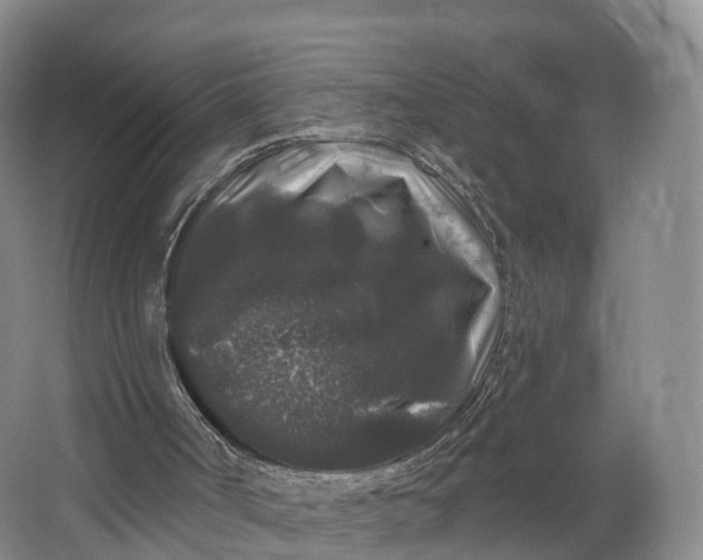 X0000064720002200602241657