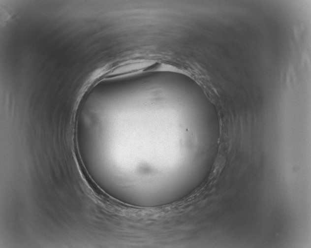 X0000064720003200602241657