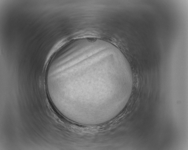 X0000064720004200602241657