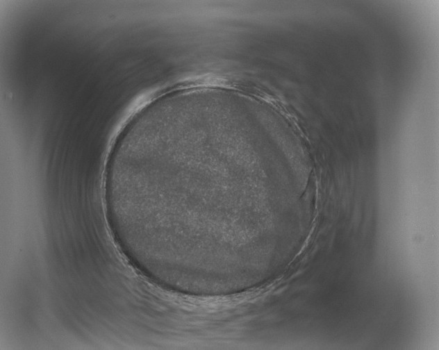 X0000064720006200602241657
