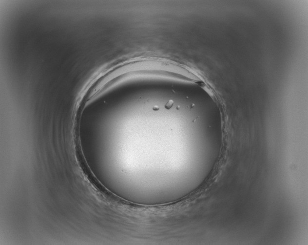 X0000064720007200602241657