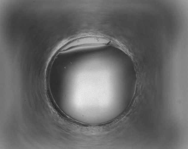X0000064720008200602241657