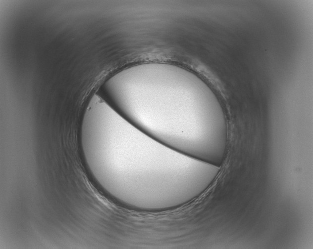 X0000064720009200602241657