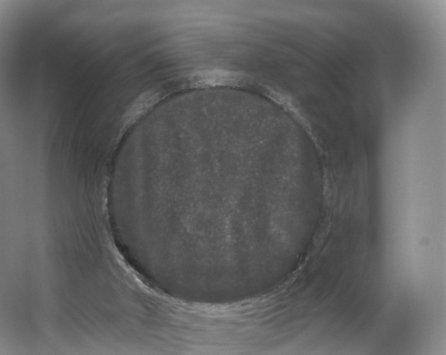 X0000064720010200602241657