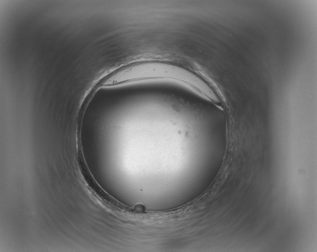X0000064720011200602241657