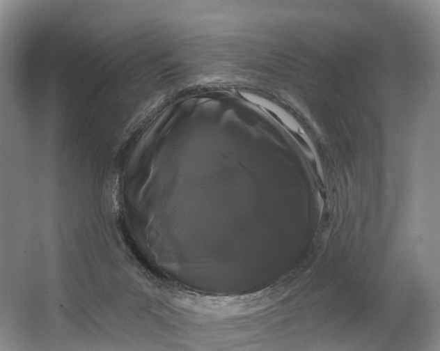 X0000064720023200602241657