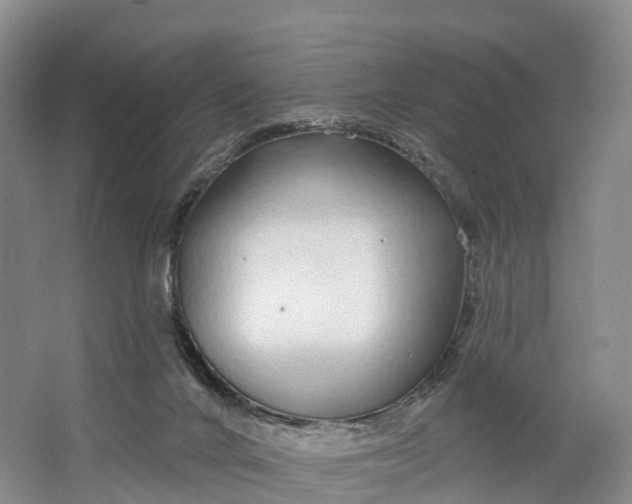 X0000064720024200602241657
